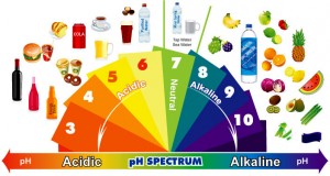 alkaline foods